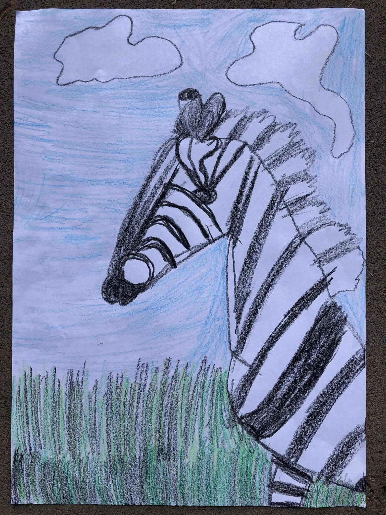 Zebra land by Zoe aged 6.jpg