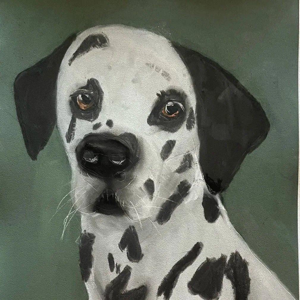 Dalmatian+by+Alexia+aged+11.jpg