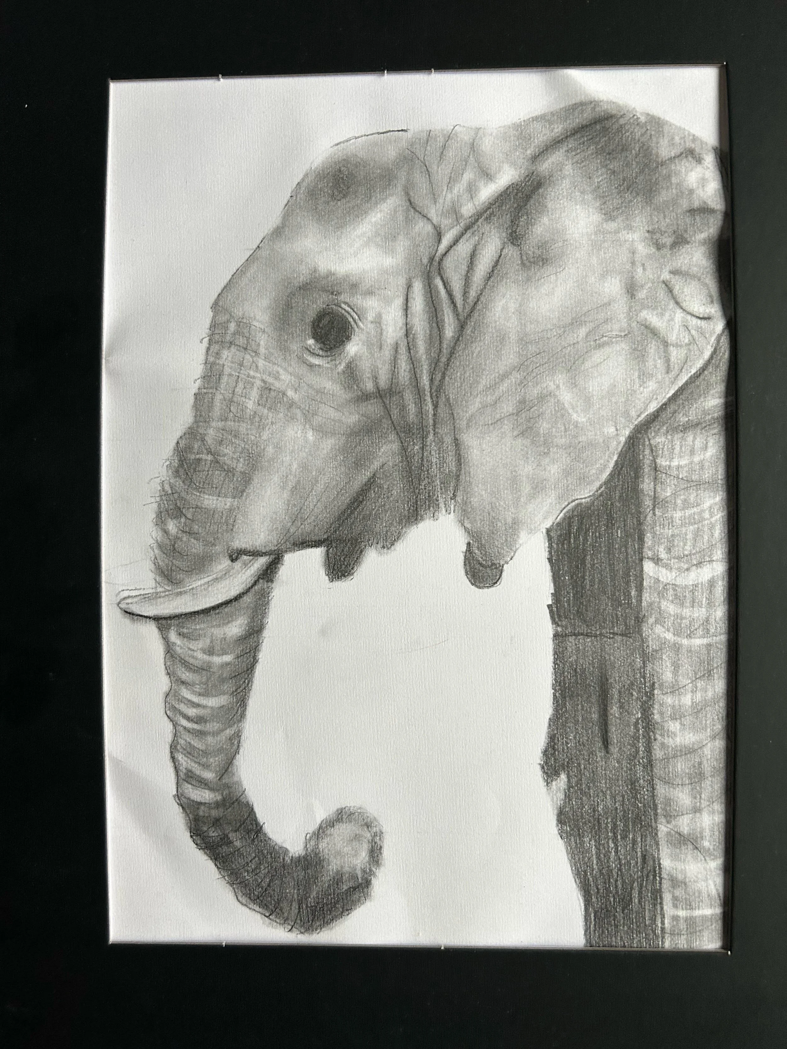 Elephant by Mackenzie aged 11.jpg