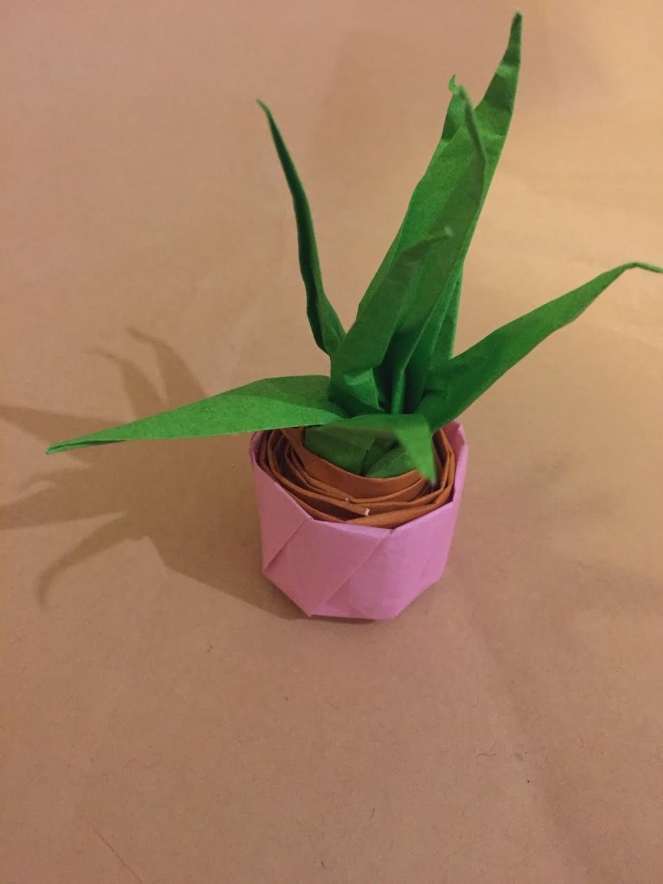 Paper plant pot by Ava aged 11.jpg
