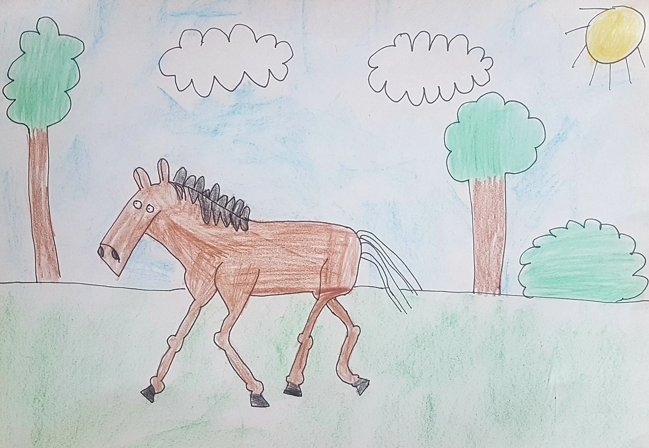Henry the Horse by Jaegar aged 6.jpg