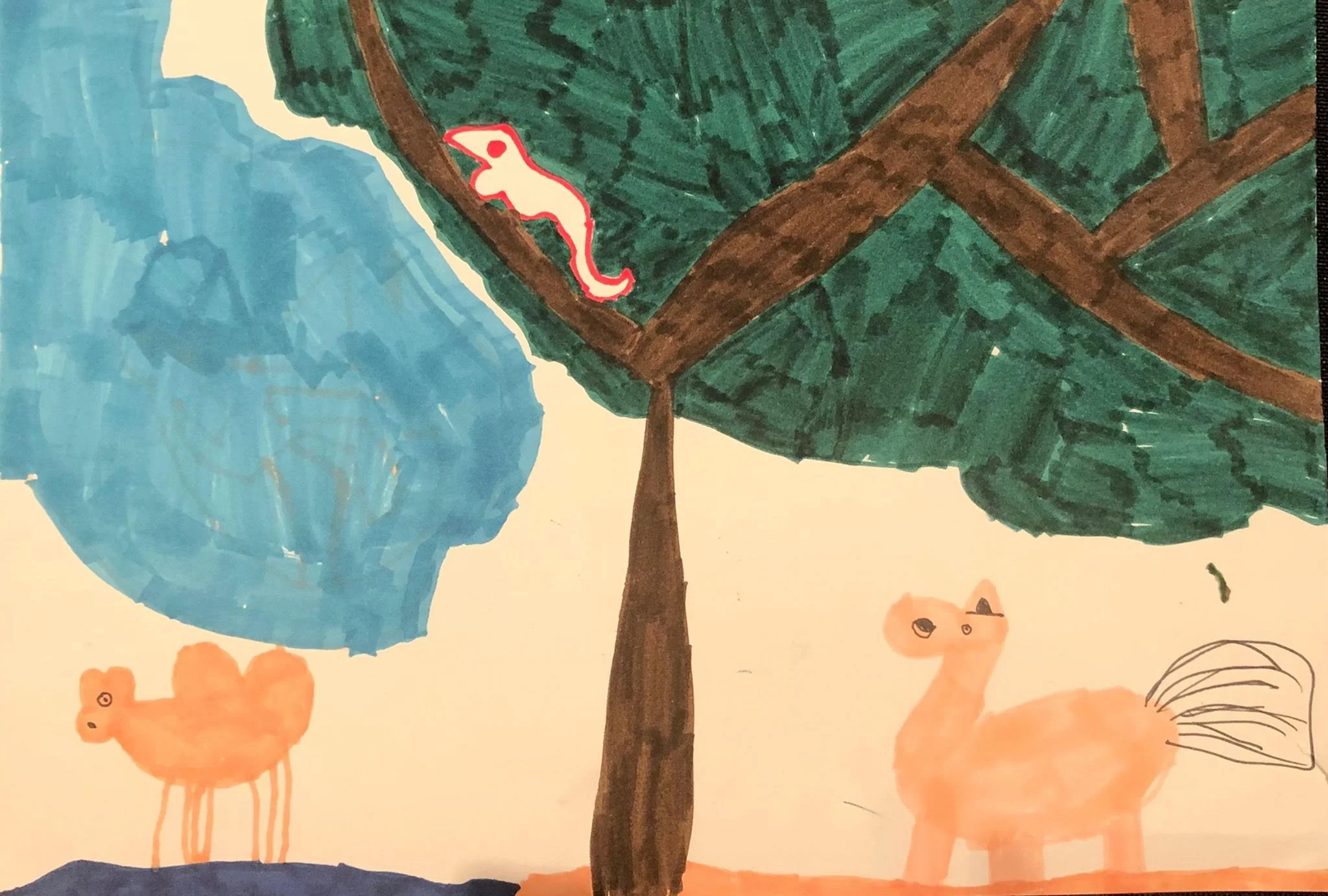 Saving the camel by Catherine aged 6.jpg