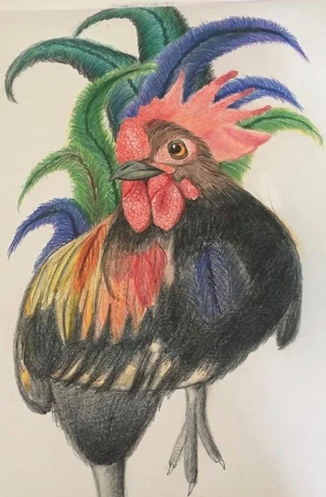 Barry the Rooster by Ayla Johnston aged 12.jpeg