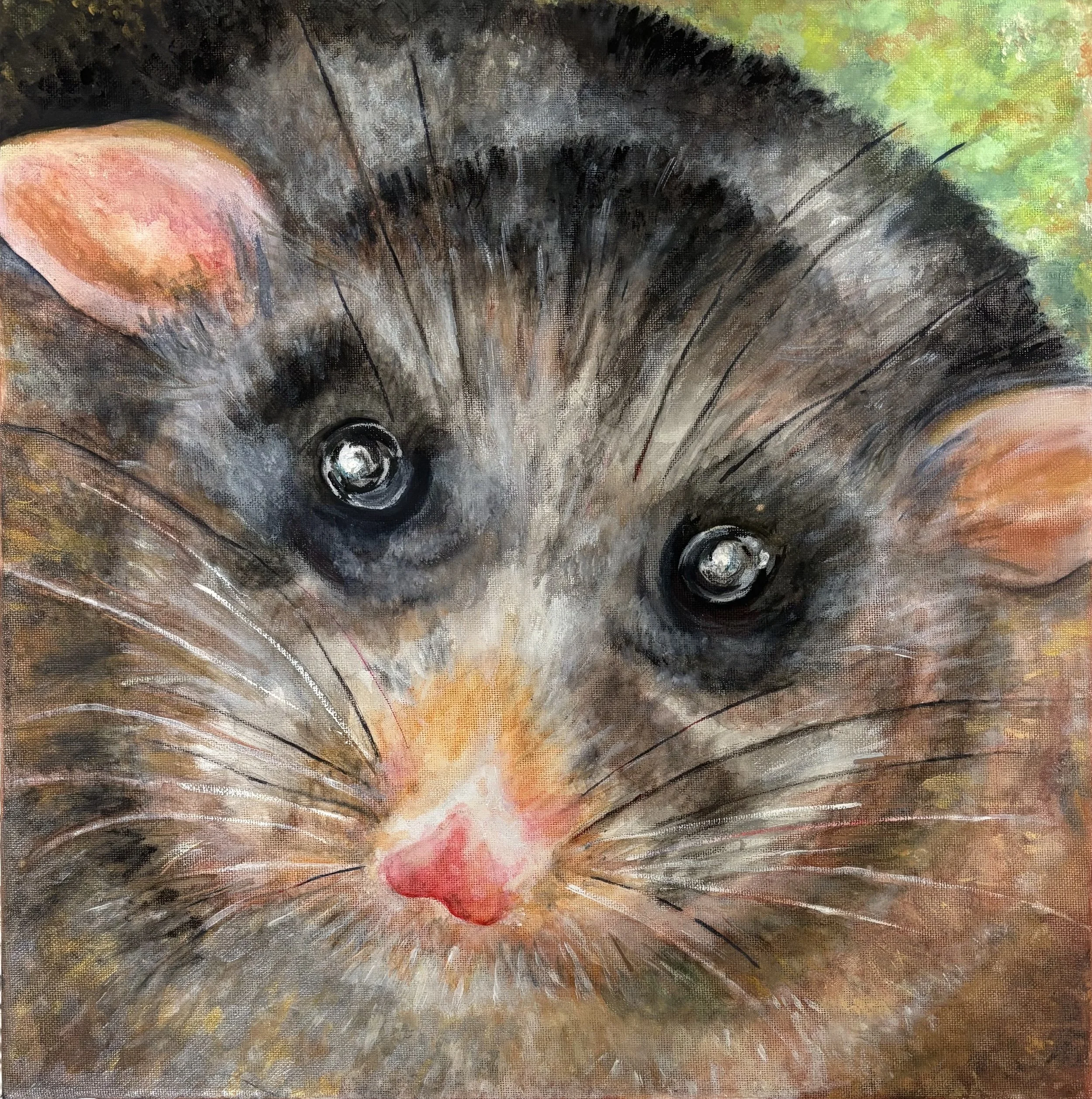 'Mountain Pygmy Possum Pose' by Tara aged 10