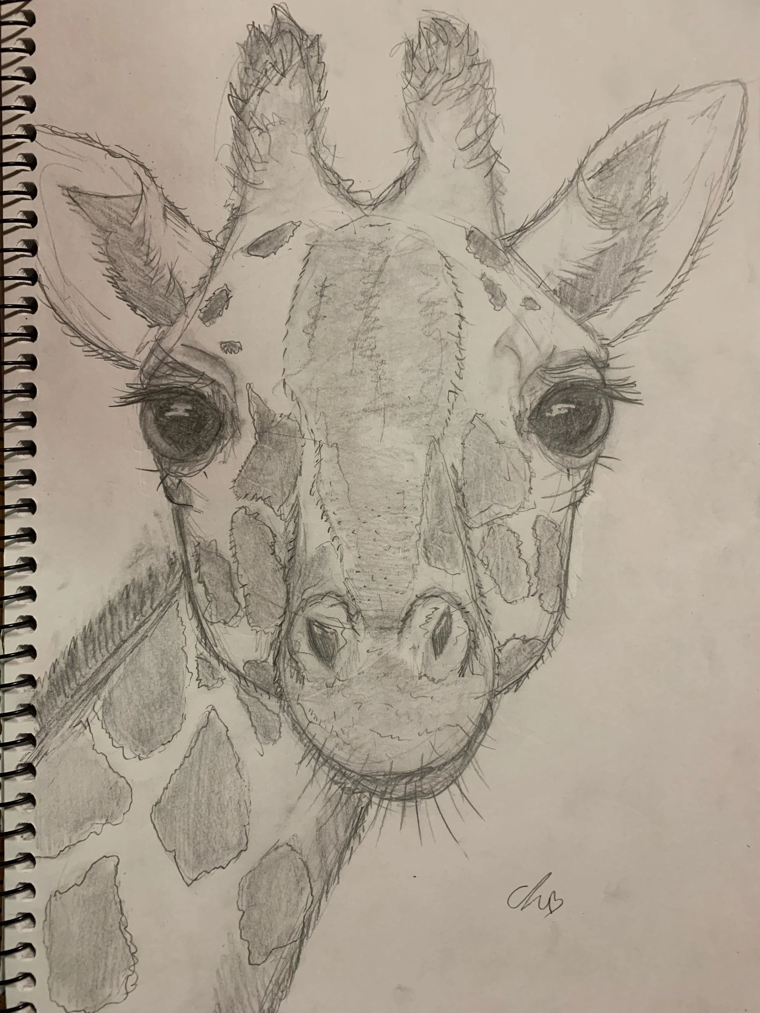 Curious Giraffe by Charlotte Agde 14.jpeg
