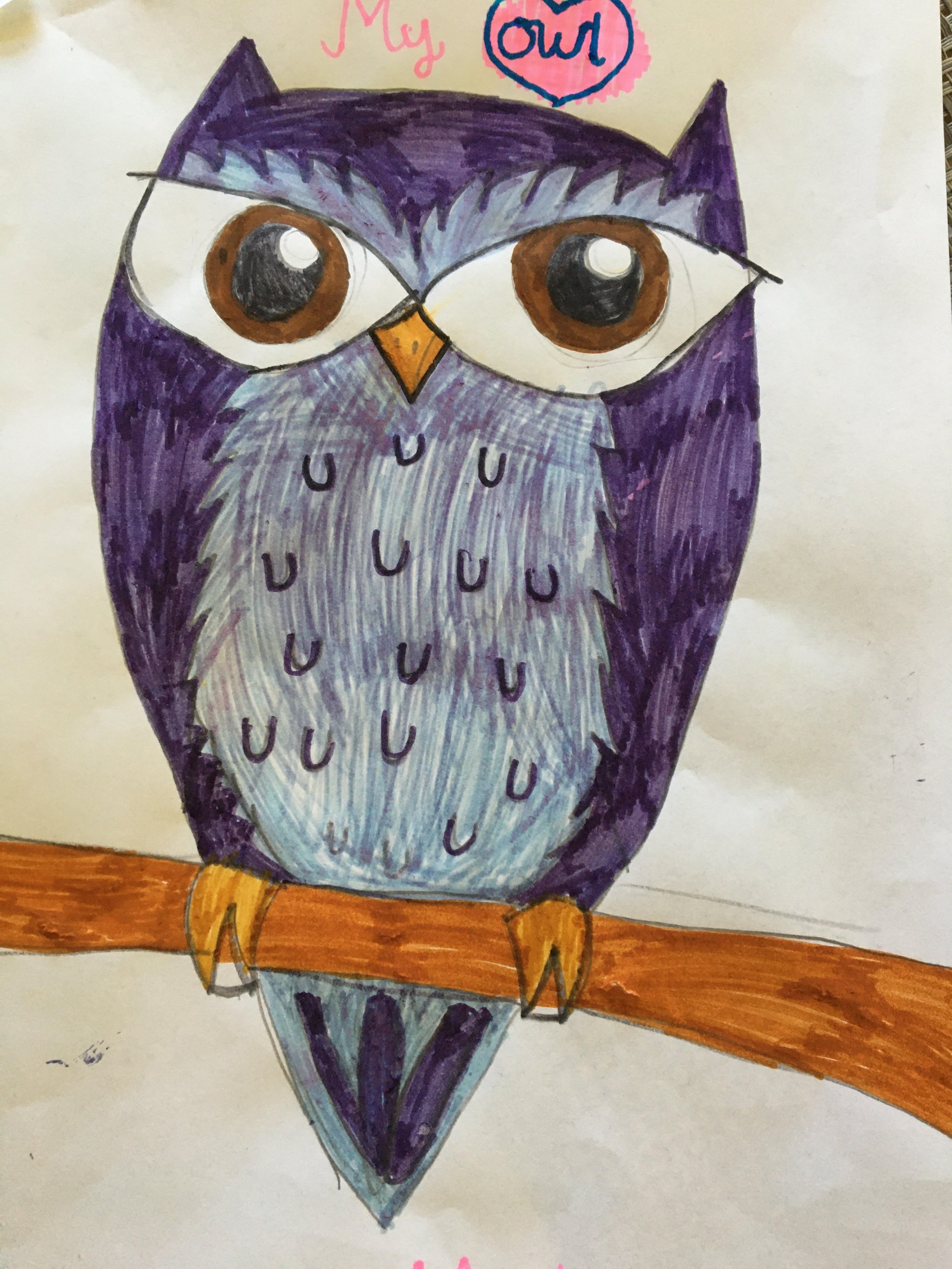 'Owl and a branch' by Makenzie aged 7.jpg