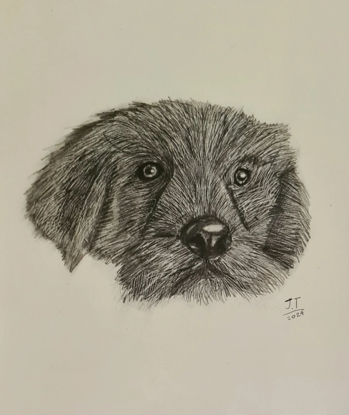 Roxy by Jaegar aged 10.jpg