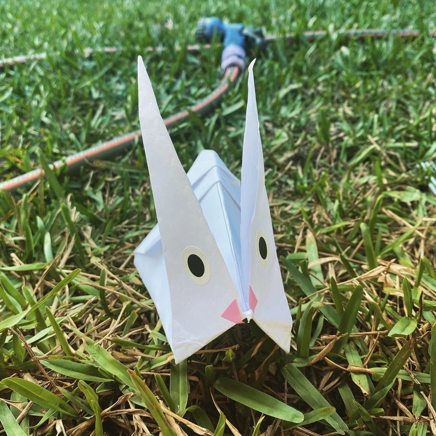 Rabbo origami by Louis aged 5.jpg