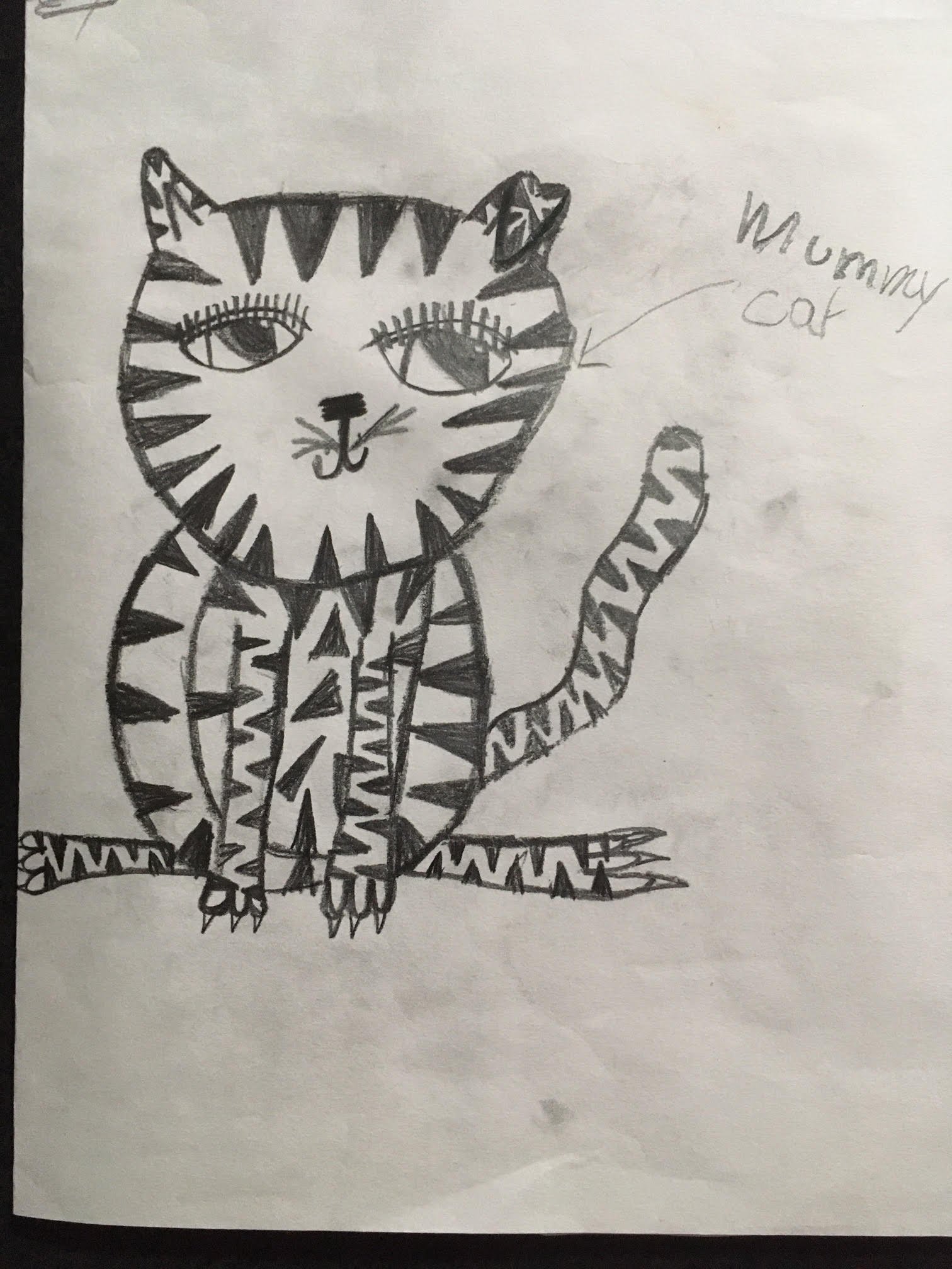 Mum cat by Lucy aged 8.jpg