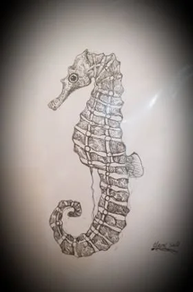 Seahorse by Claire aged 11.jpg