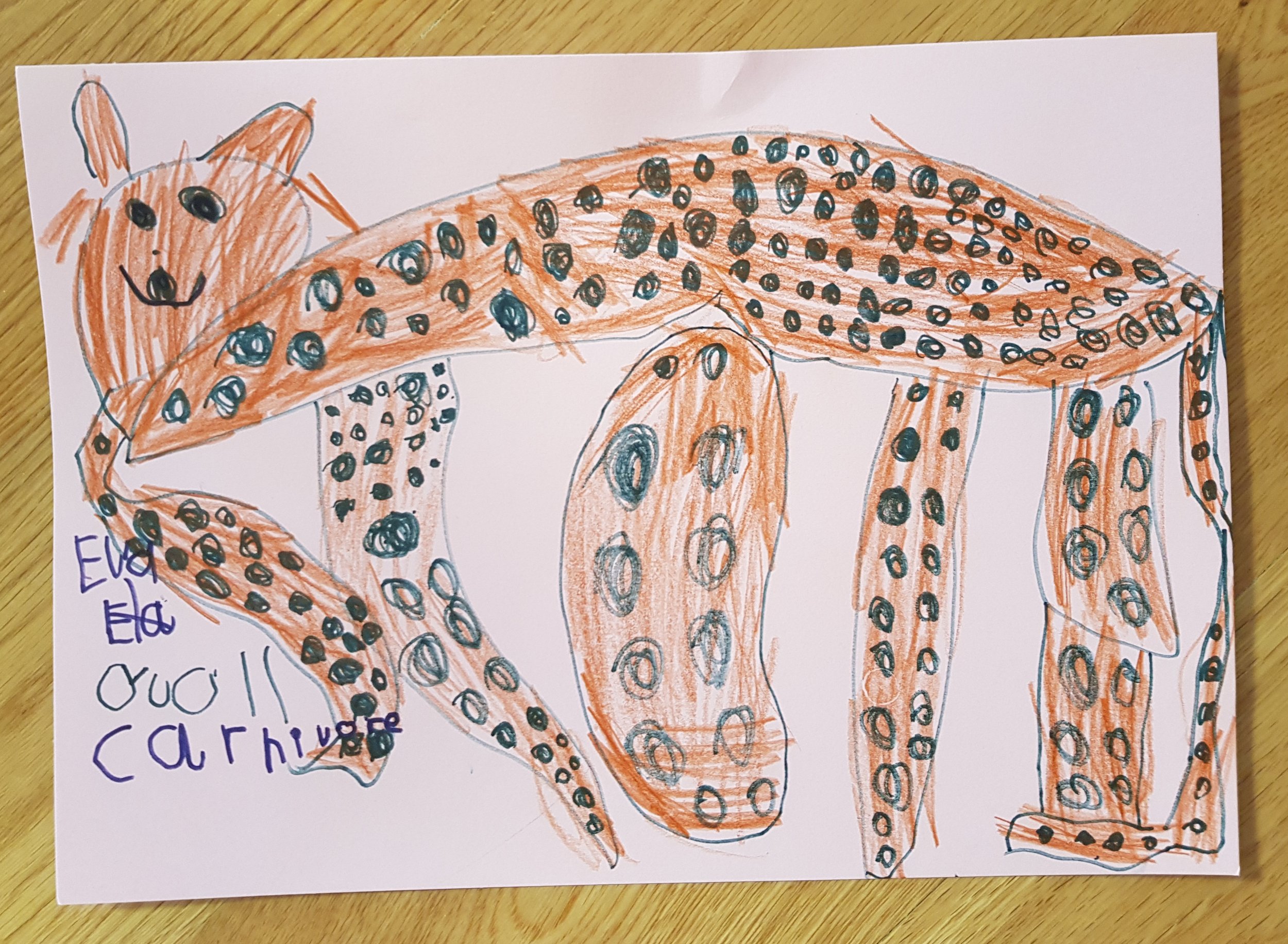 Quoll by Eliza aged 5.jpg