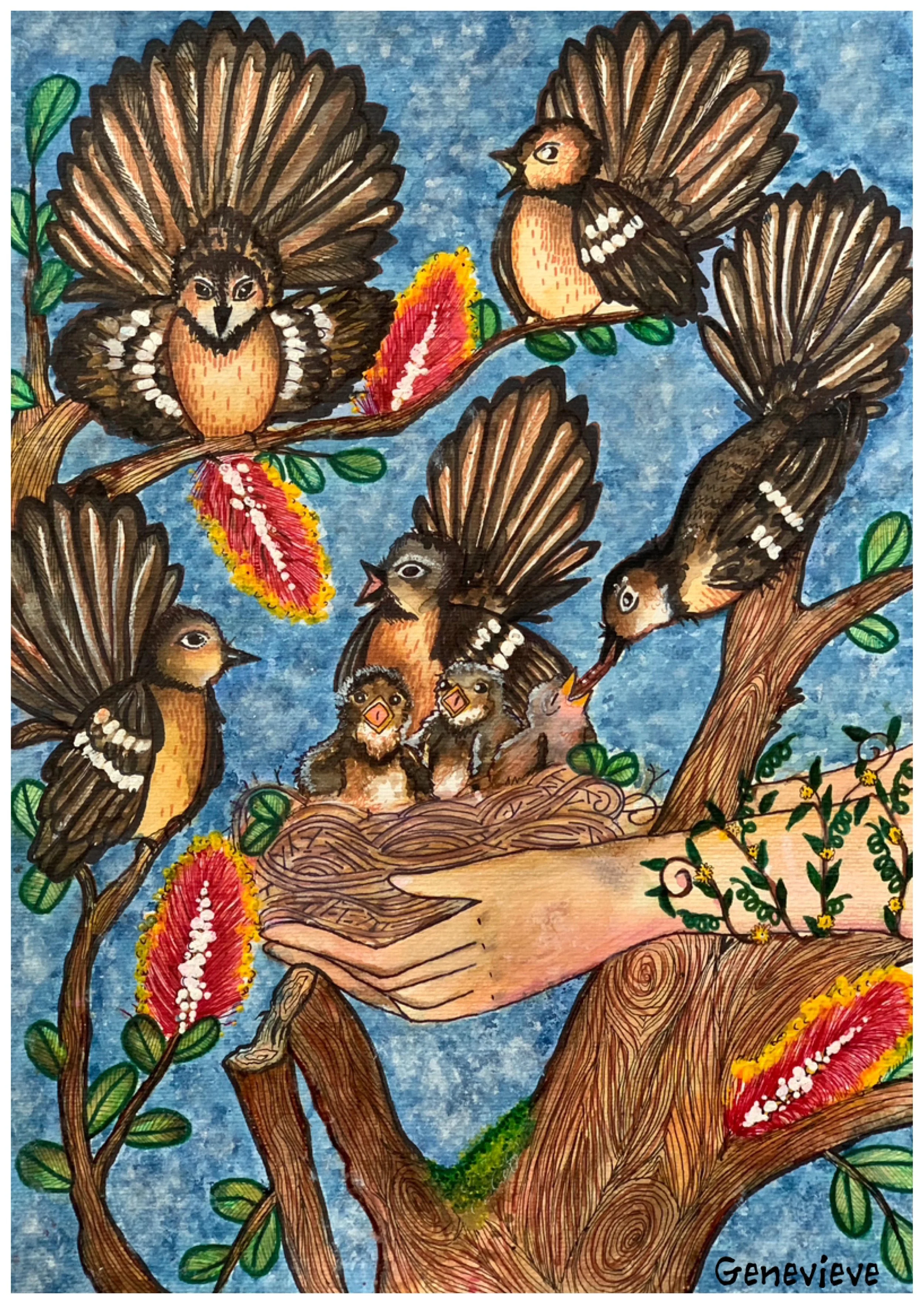'The Grace of the Grey Fantail' by Genevieve aged 12