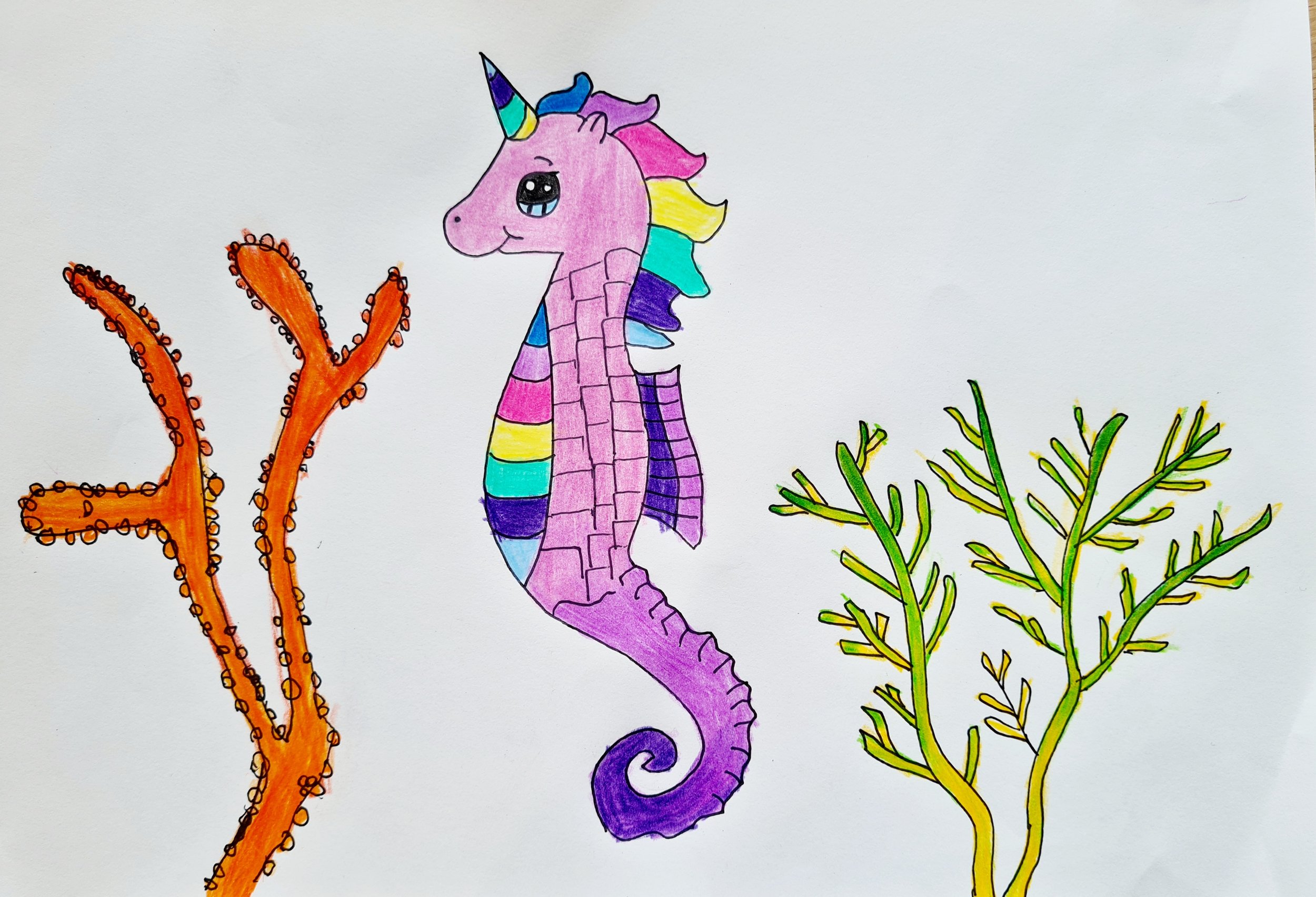 Rainbow Unicorn Seahorse Azahlia aged 5.jpg