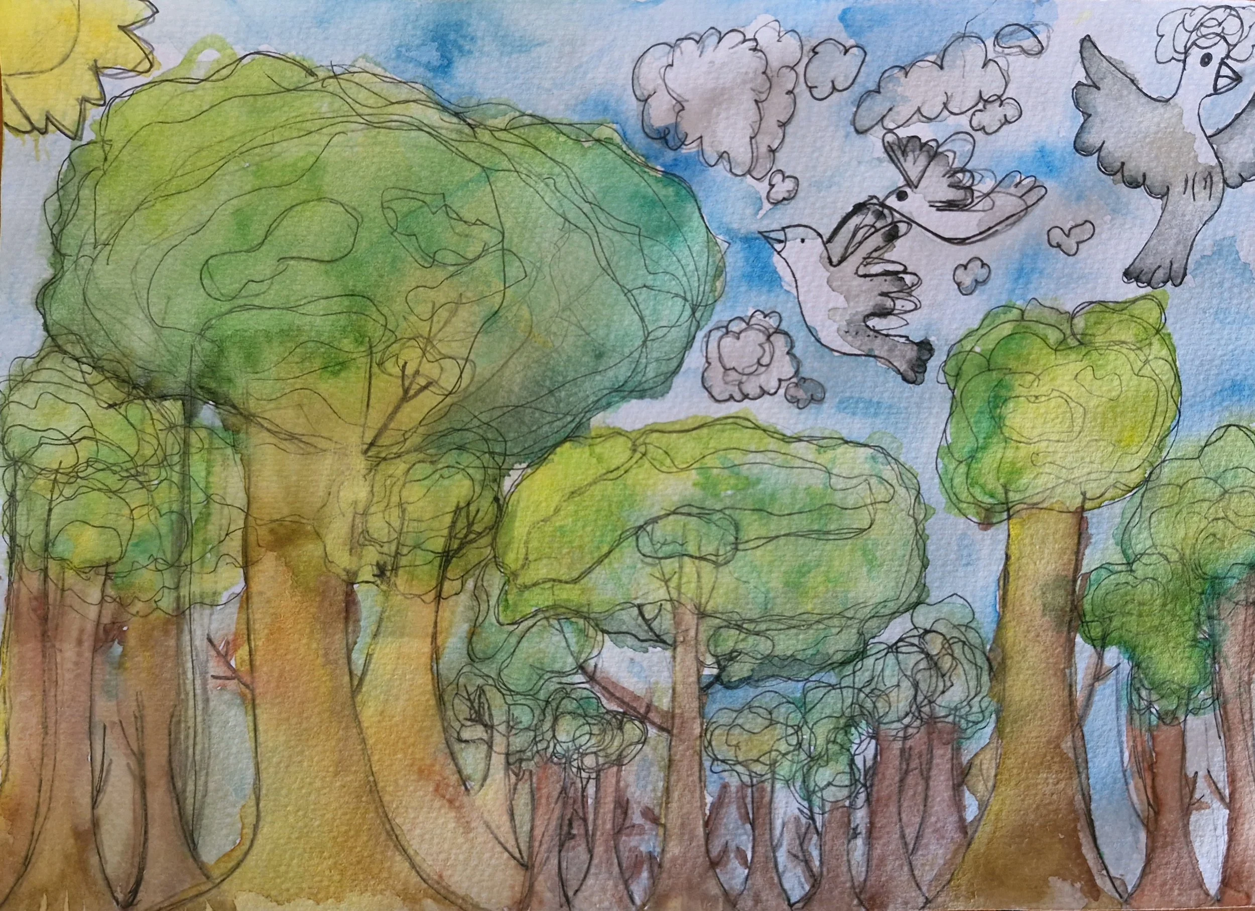 My backyard by Matilda aged 8.jpg
