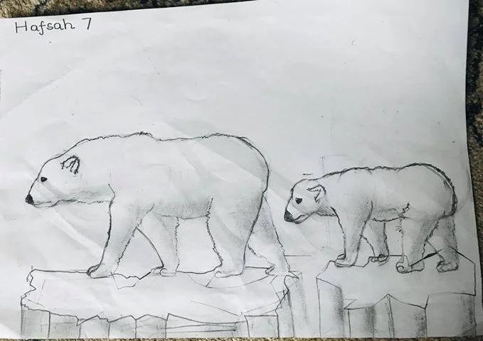 Hafsah aged 7 polarbears.jpg