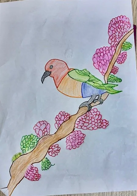 Happiness parrot by Shaivi aged 7.5.jpeg