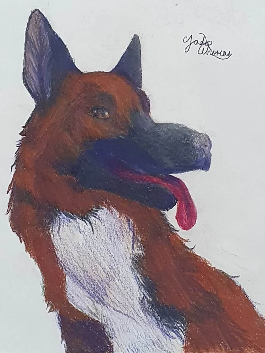 Apollo the pup by Jada aged 13.jpg