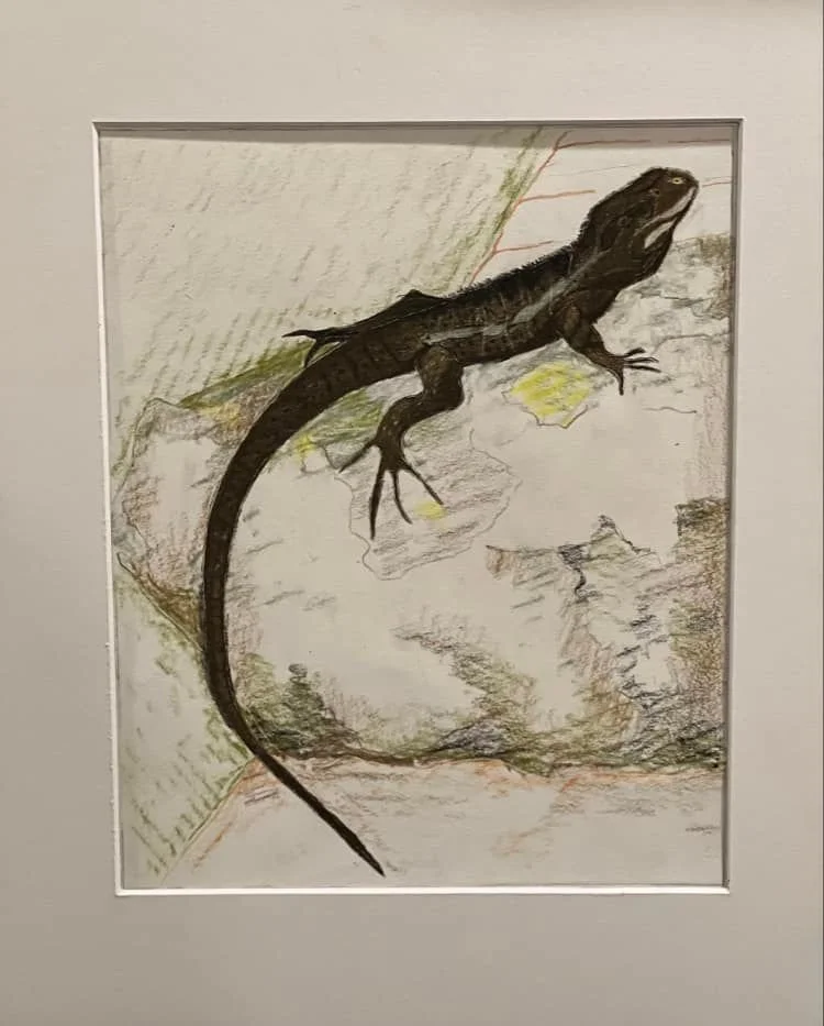 Sunshine waterdragon by Ash aged 14.jpg