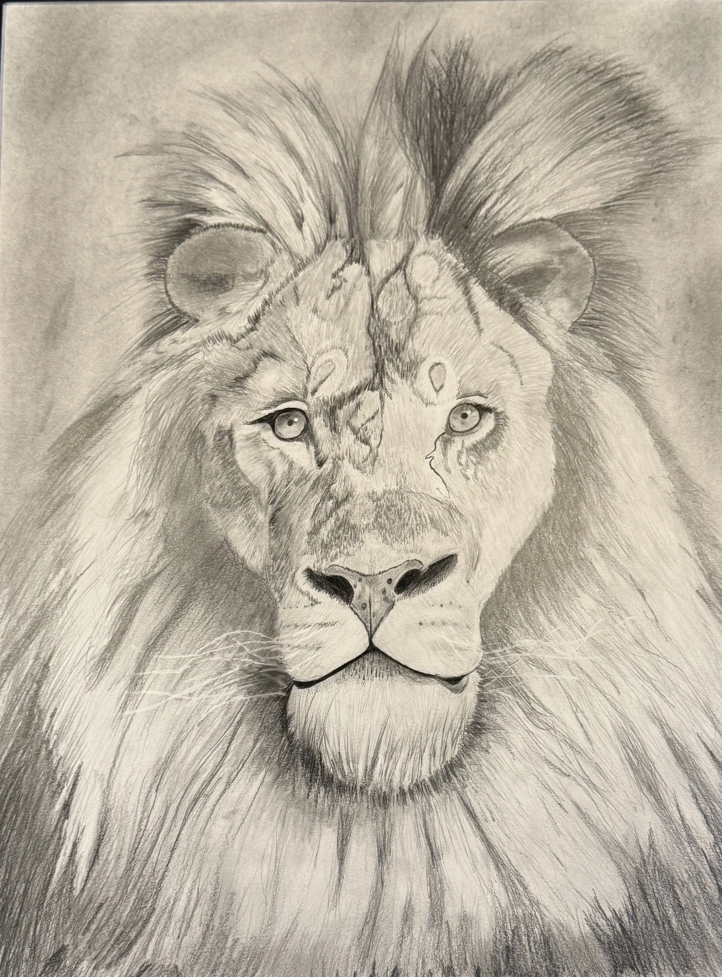 'The calm within the king' by Tom aged 13