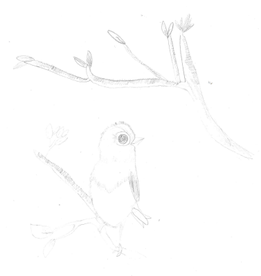 Pencil sketch by Gamya aged 6.PNG