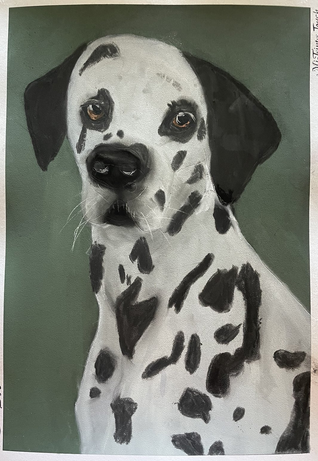 Dalmatian by Alexia aged 11.jpeg