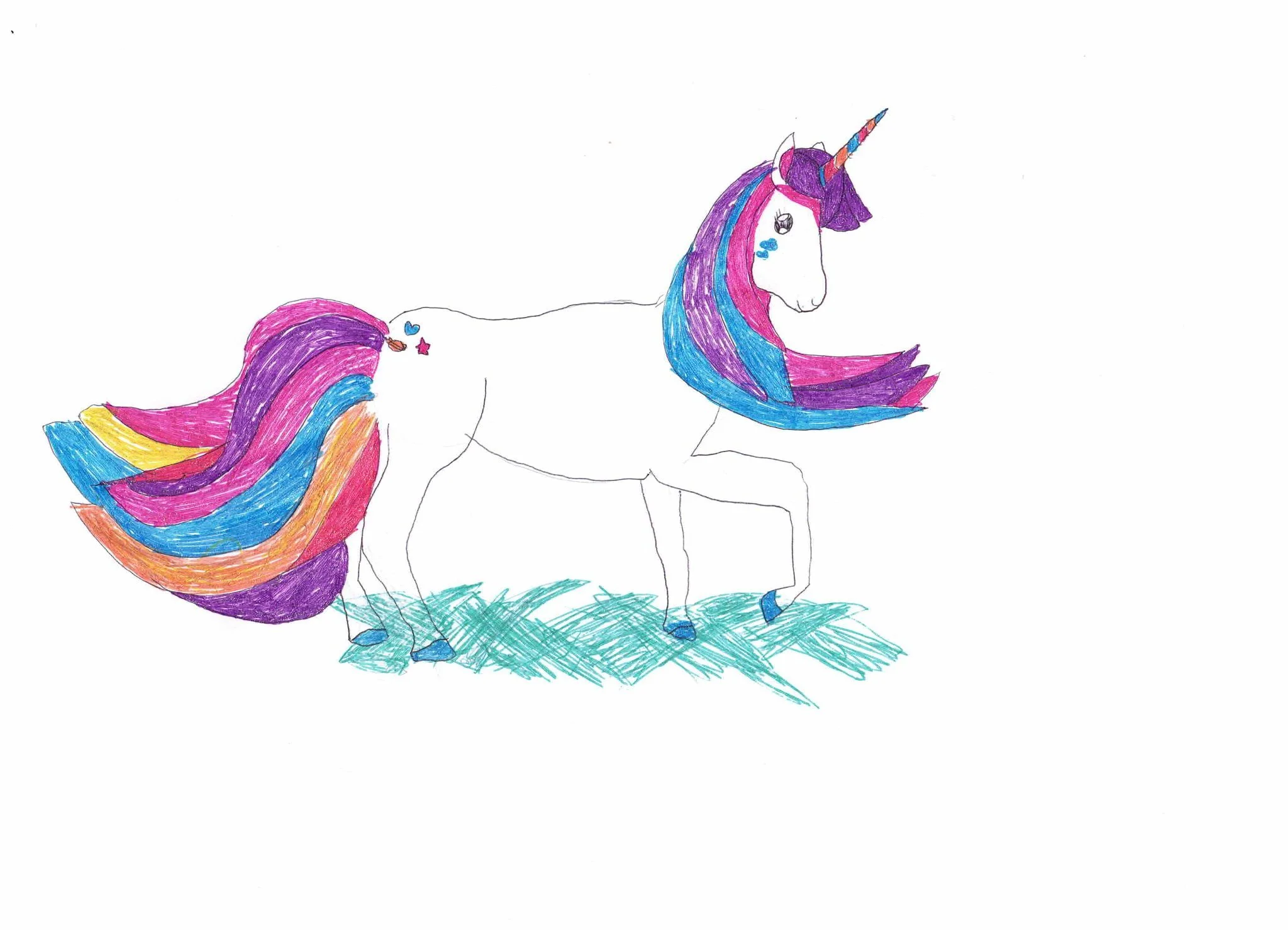 Adventurous unicorn by Olivia aged 8.jpg