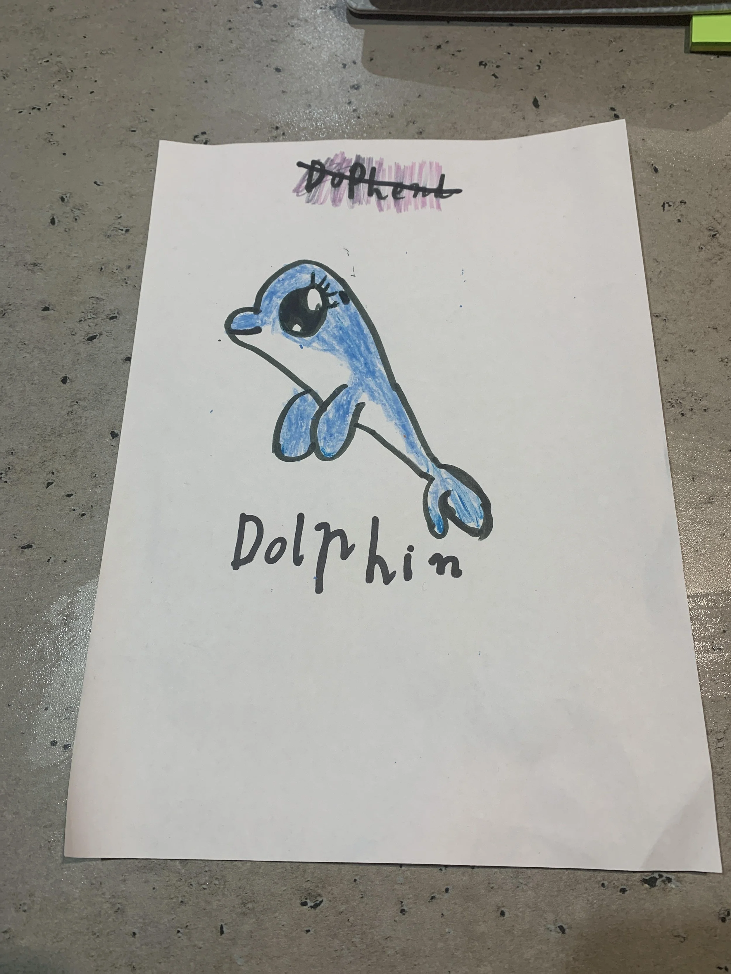 Dolphin by Georgia aged 6.jpg