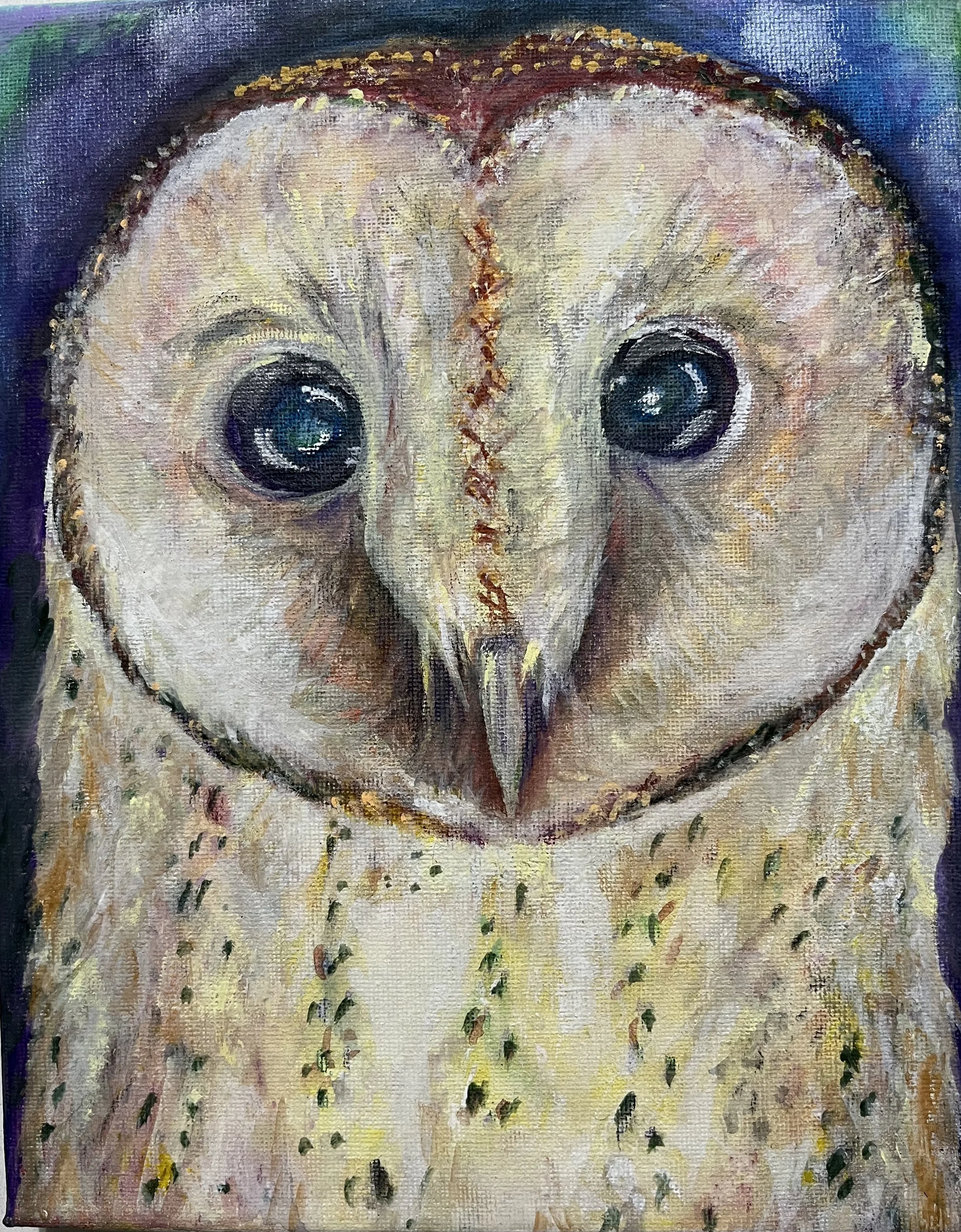 'Owl eyes' by Allegra aged 8