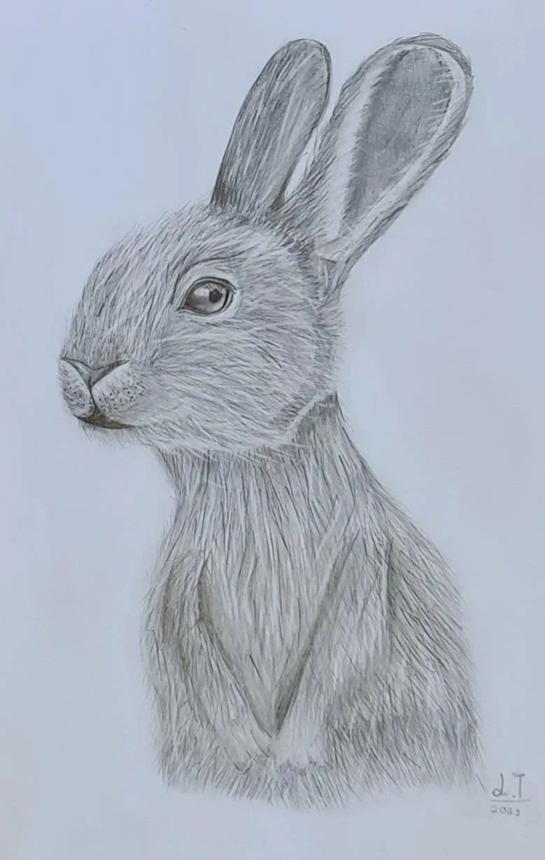 rabbit by Jaegar aged 9.jpg