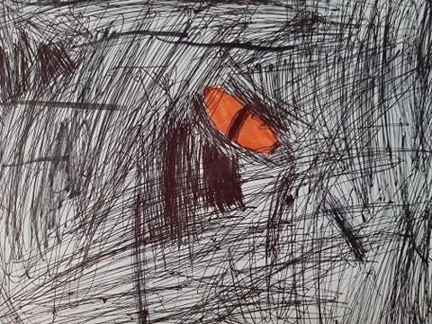 Dinosaur eyes by Elliot aged 7.jpg