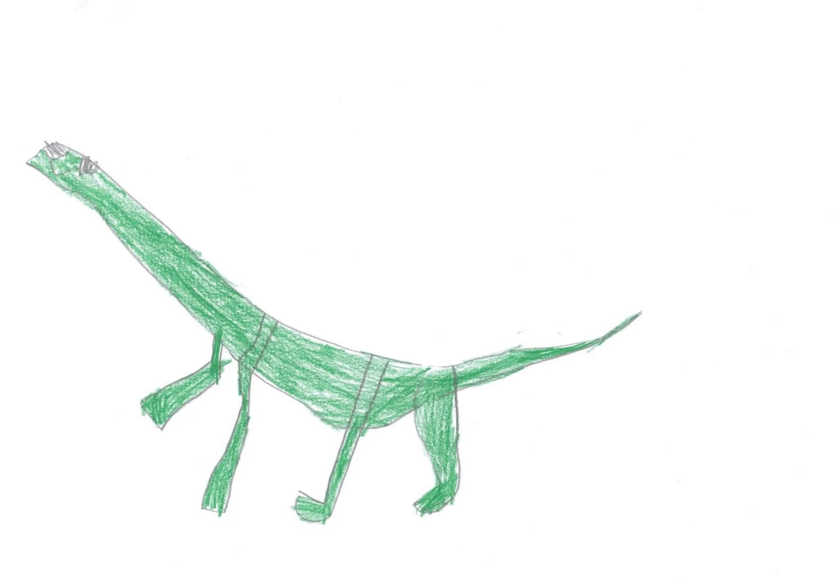 Sauropod-suarus by Henry aged 8.jpg