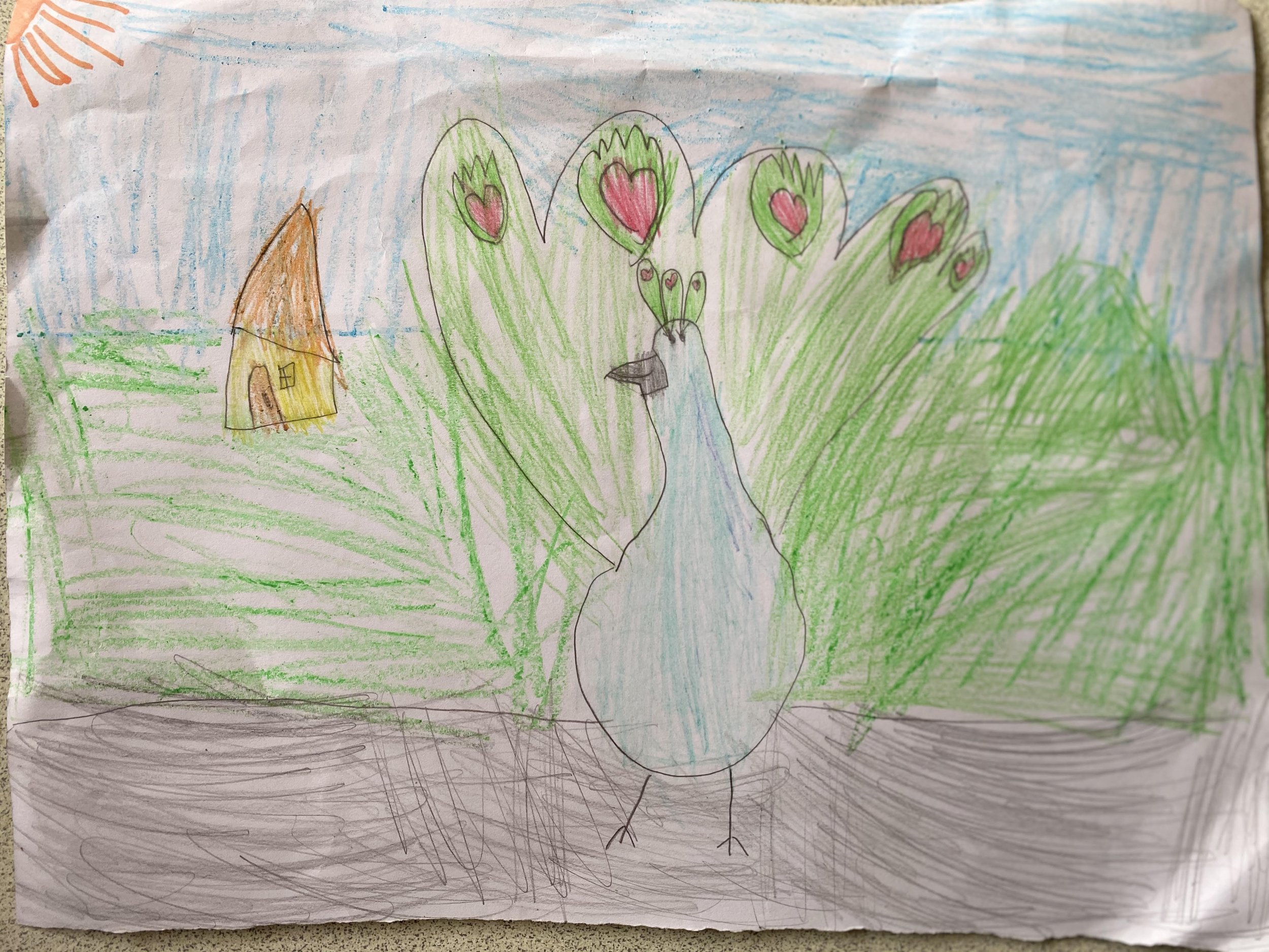 Timme the peacock by Alouette aged 5.jpg