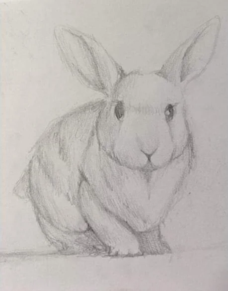 In memory of fluffy by Jada aged 12 .jpg