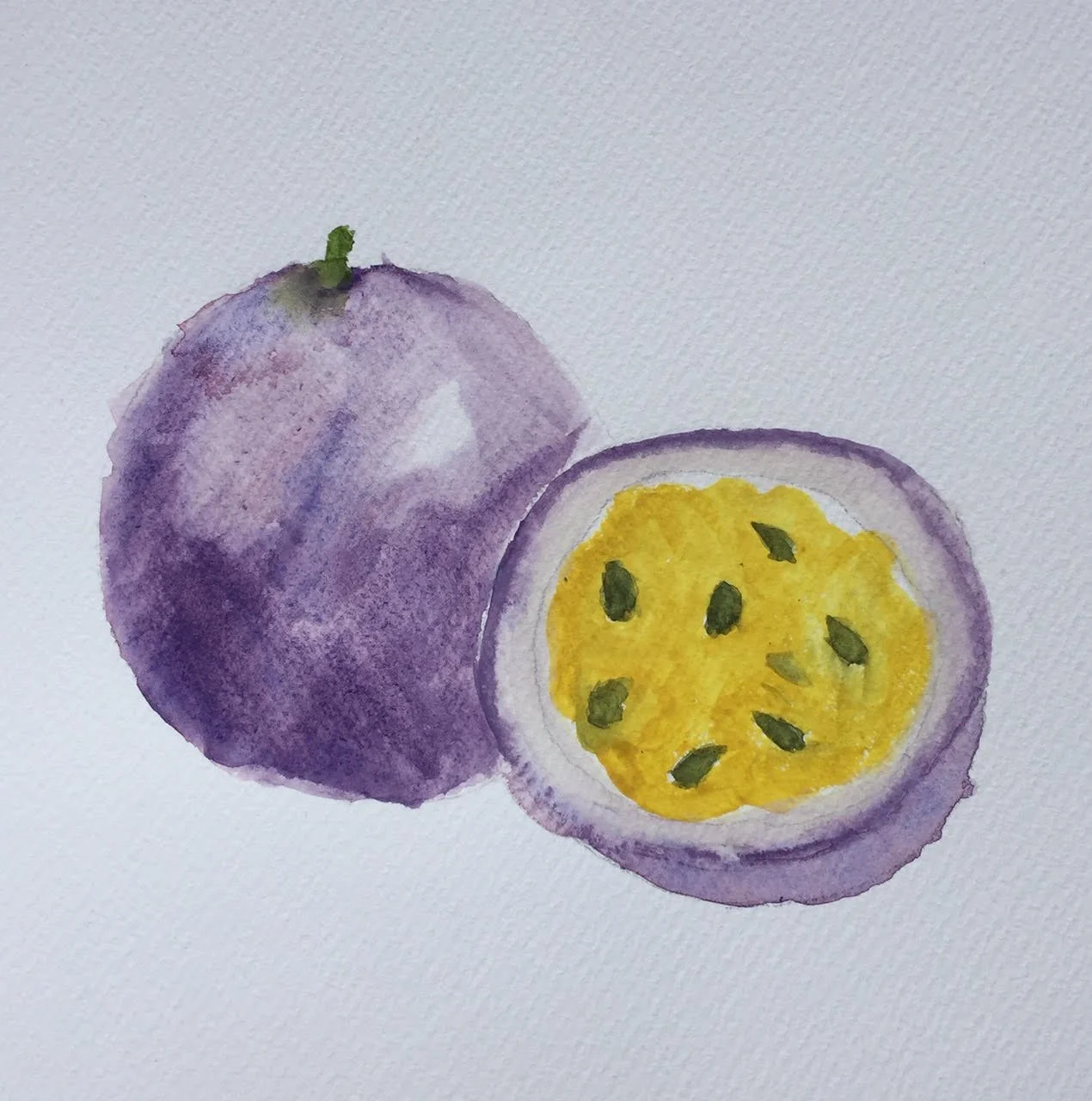 Passionfruit by Ava aged 11.jpg