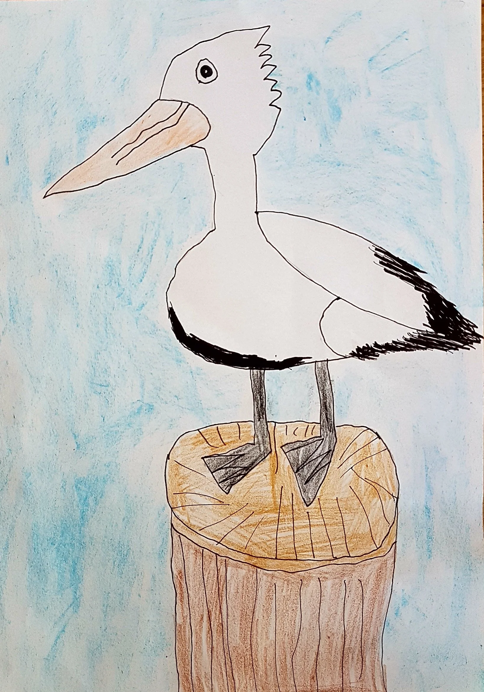 Paul the Pelican by Jaegar aged 6.jpg