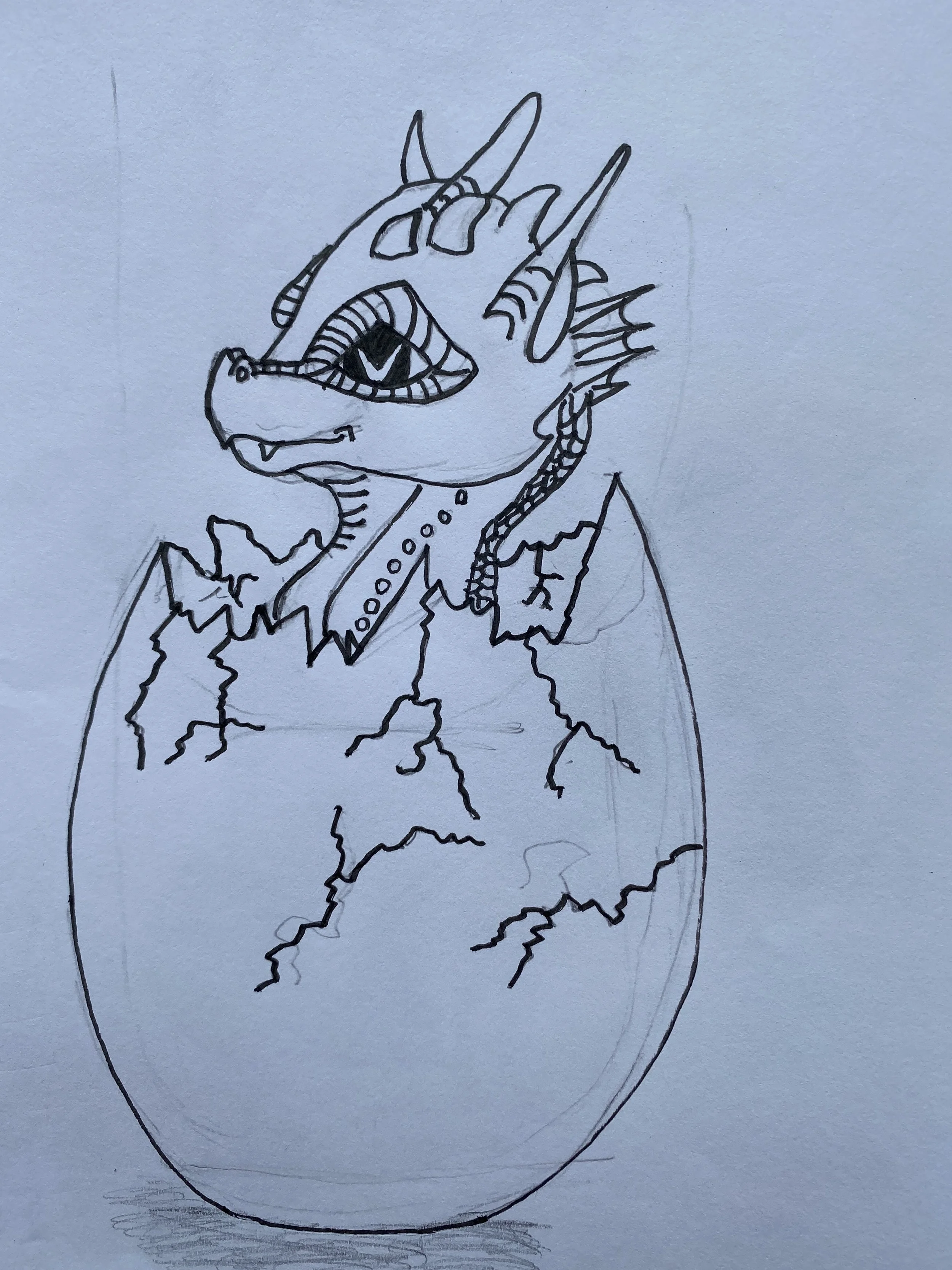 Dragon dreaming 2 by Estella aged 9.jpeg
