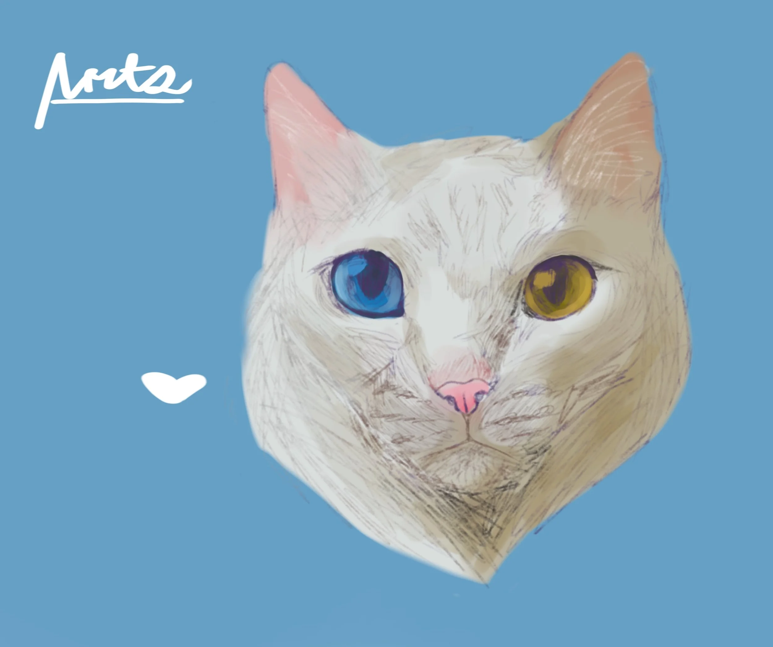 Heterochromia Cat Drawing by Jada aged 12.jpeg