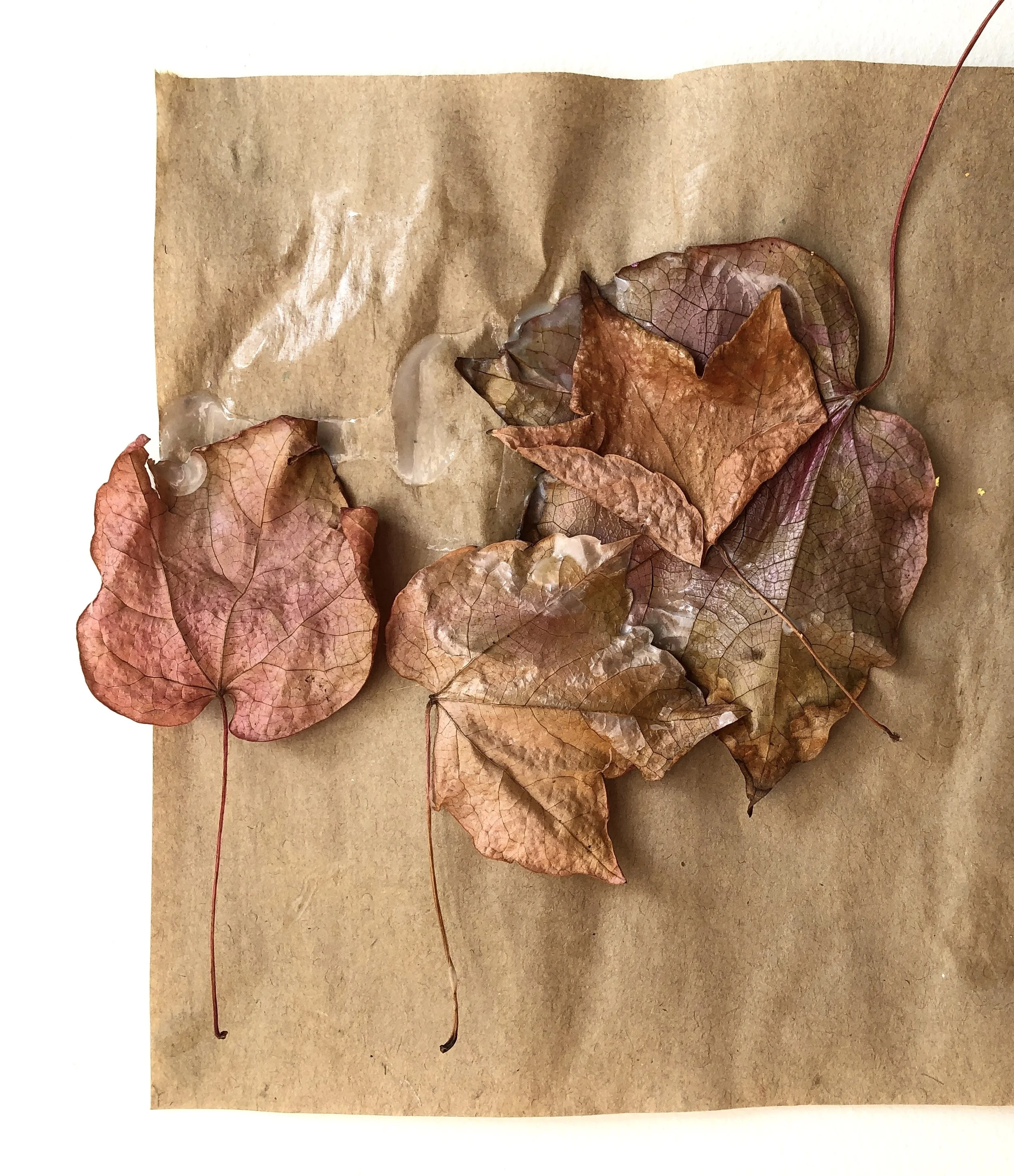 Beautiful Autumn by Vivaan aged 2 (Leaves glued on paper).jpg
