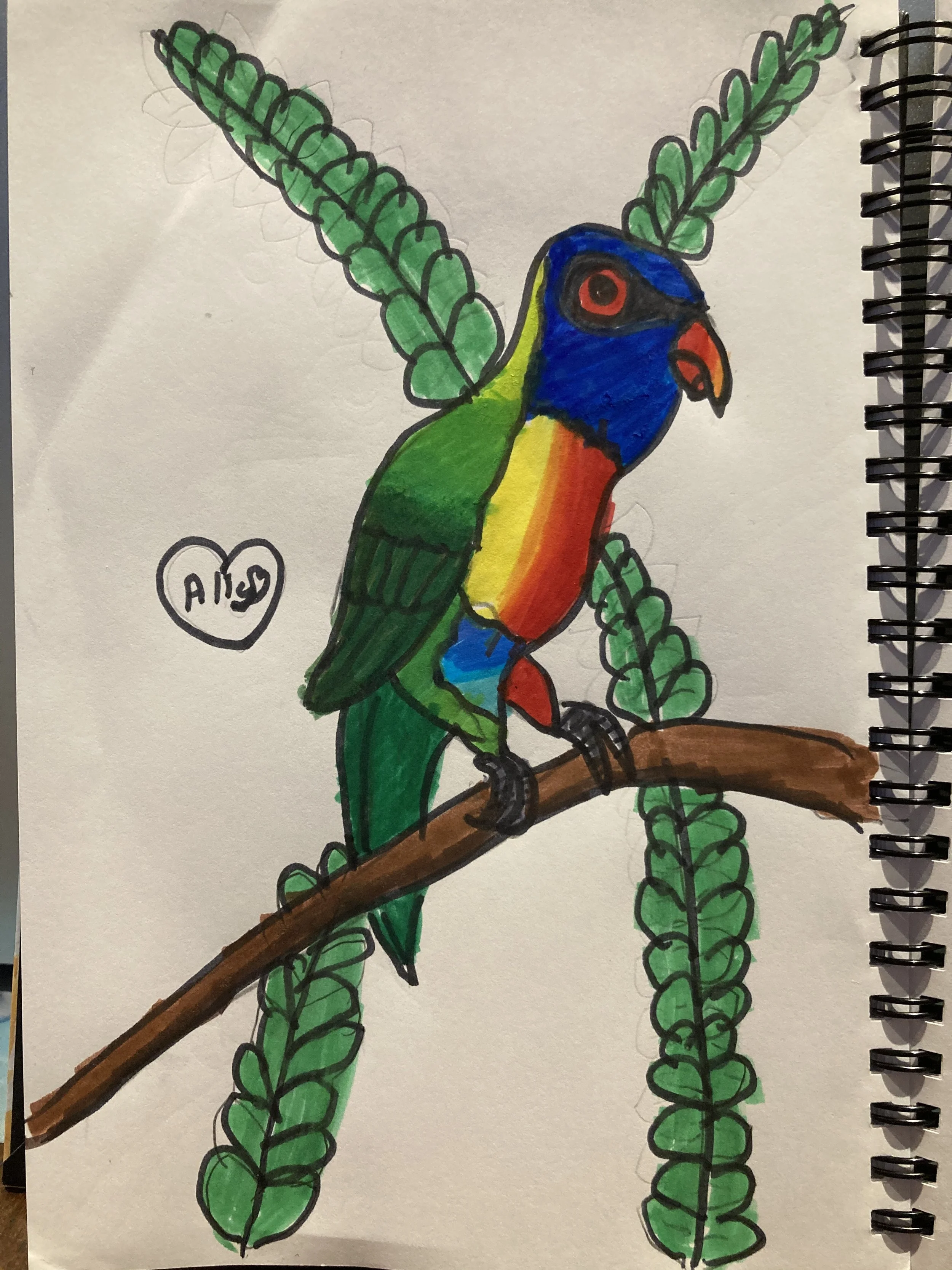 Parrot by Ally aged 10.jpg