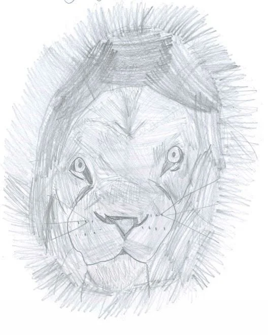 Lion by Kayleigh aged 8.jpg