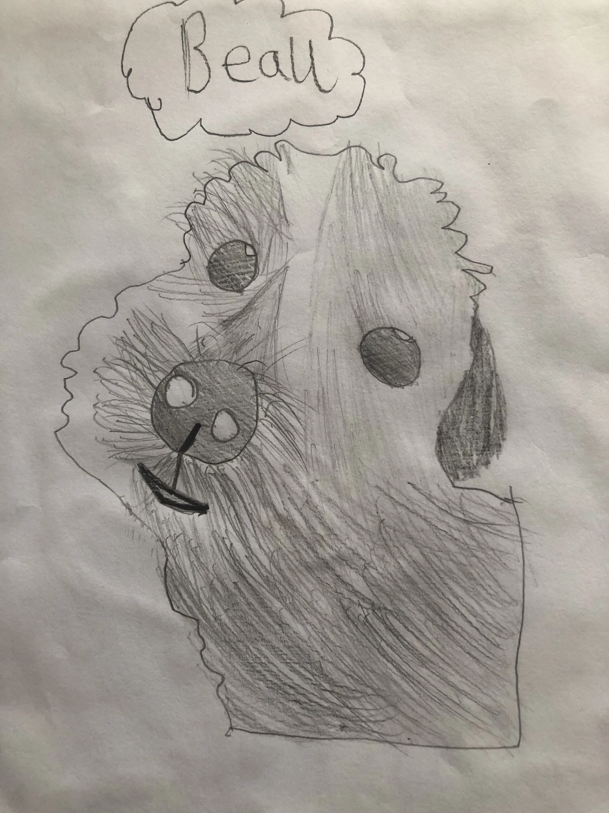 Beau by Oiliva aged 10.jpg