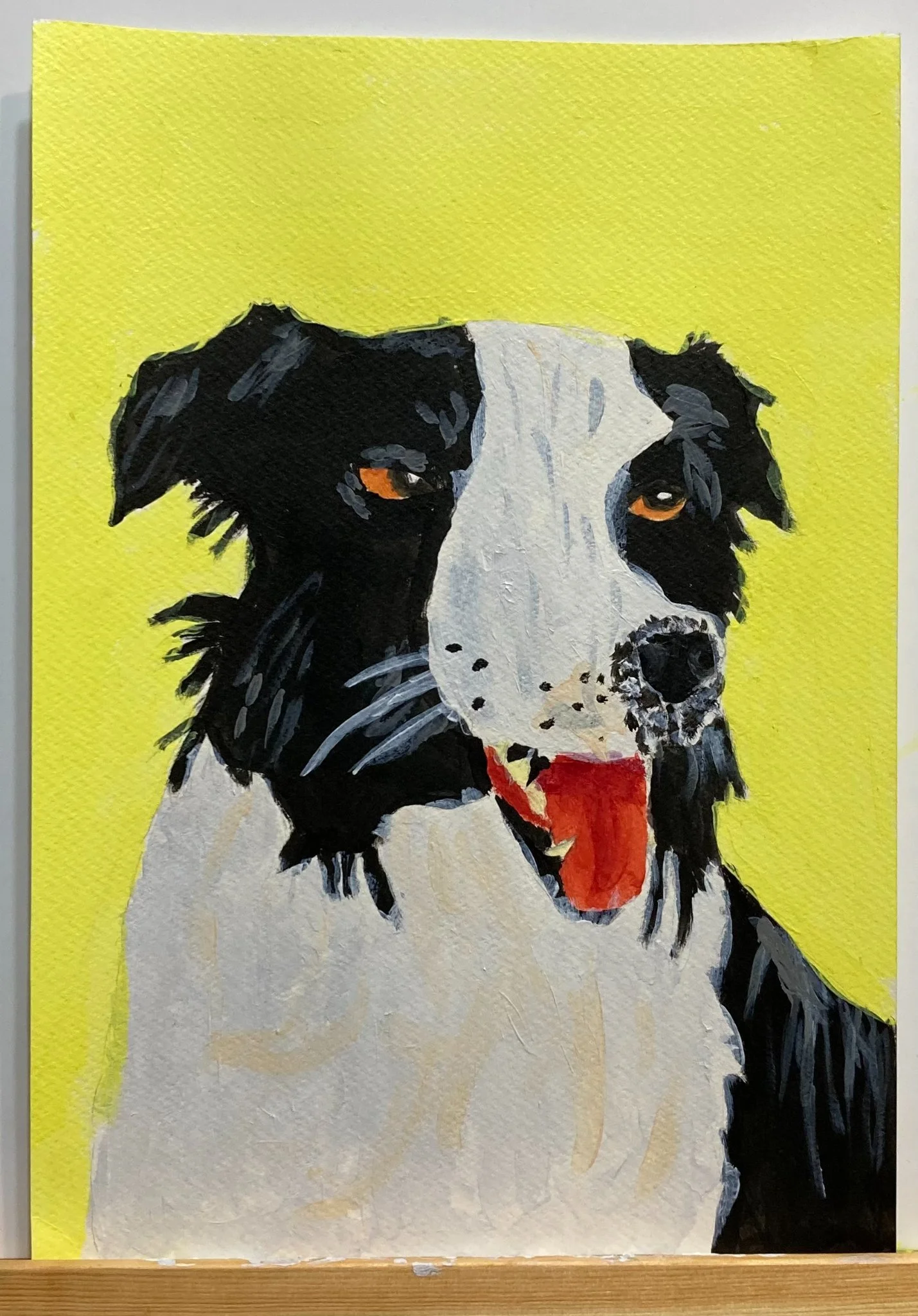 Border Collie by Lexie aged 10.jpg