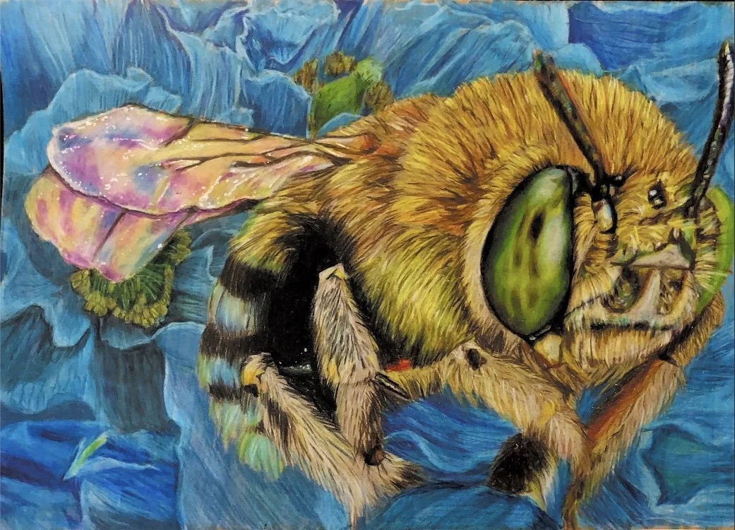 Blue Bee by Ayla aged 15.jpeg