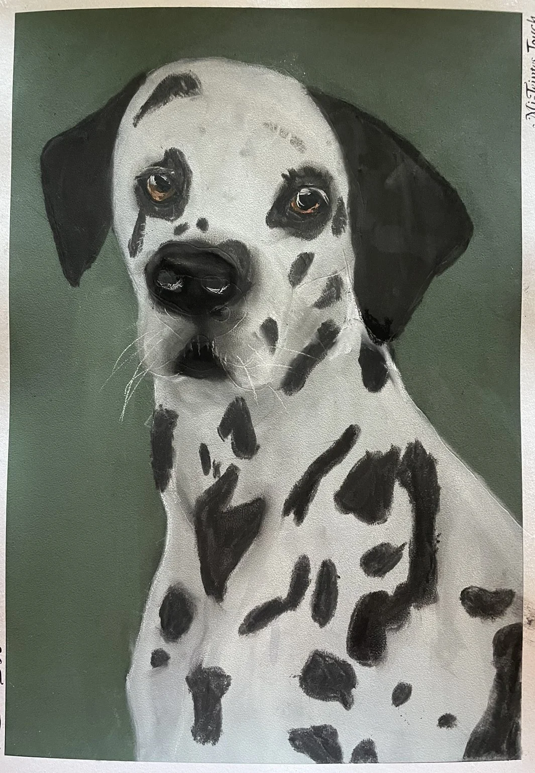 Dalmatian by Alexia aged 11.jpeg