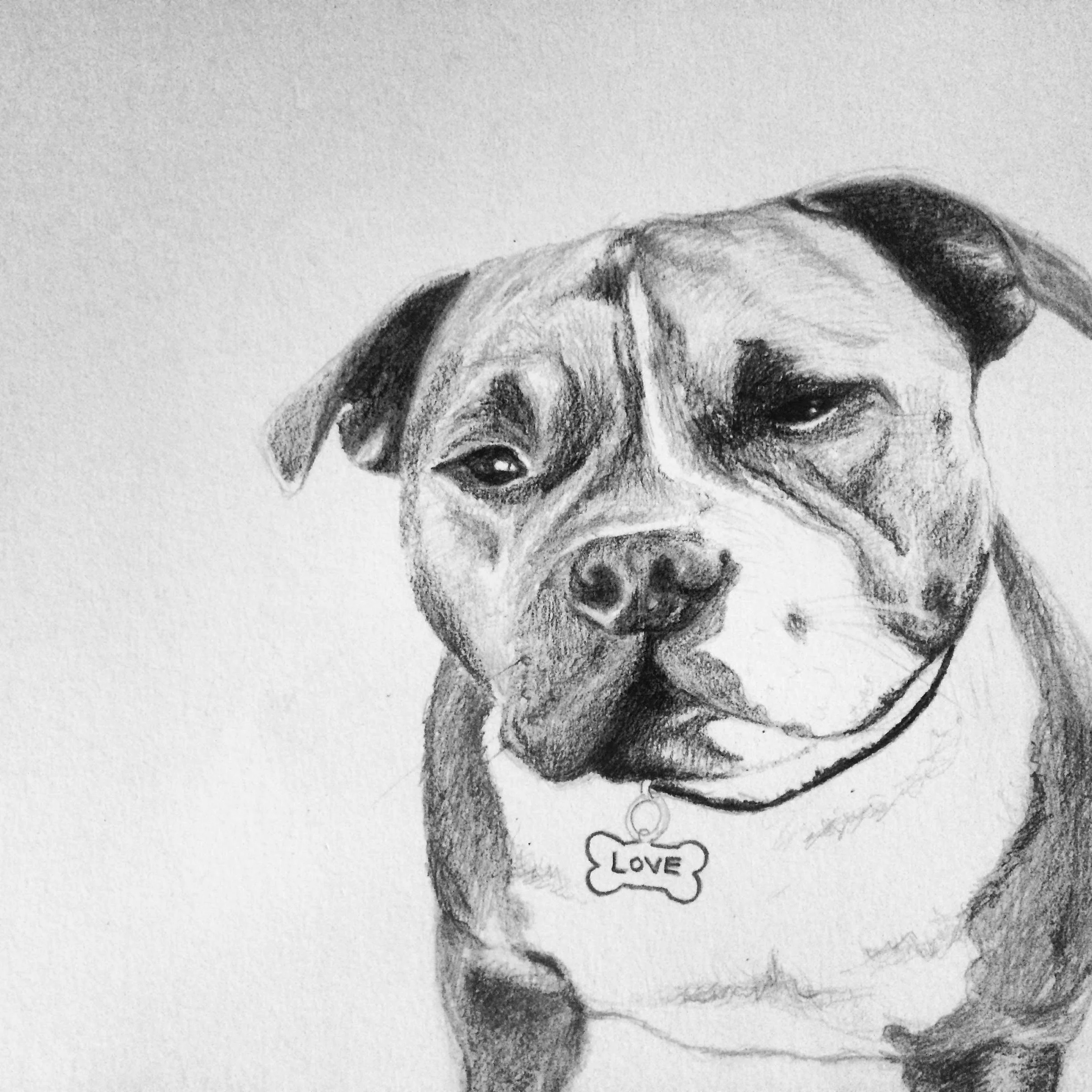 winston.JPG