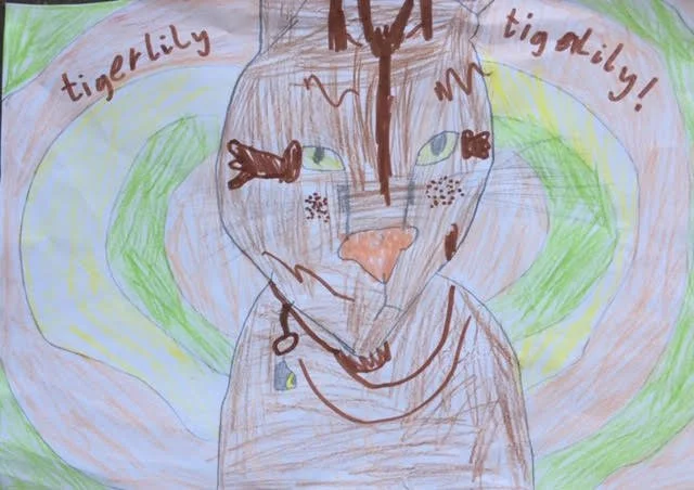 Tiger lilly the cat by Jack aged 7.jpg