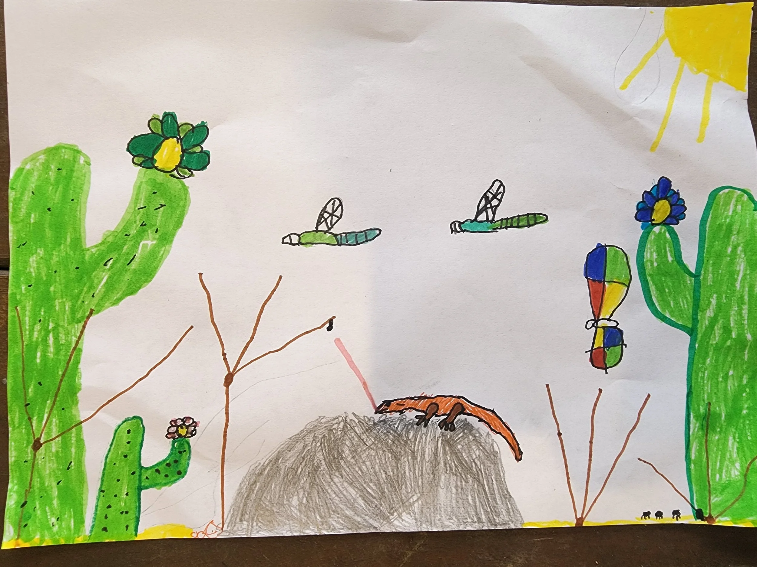 The Valley by Oscar aged 8.jpg