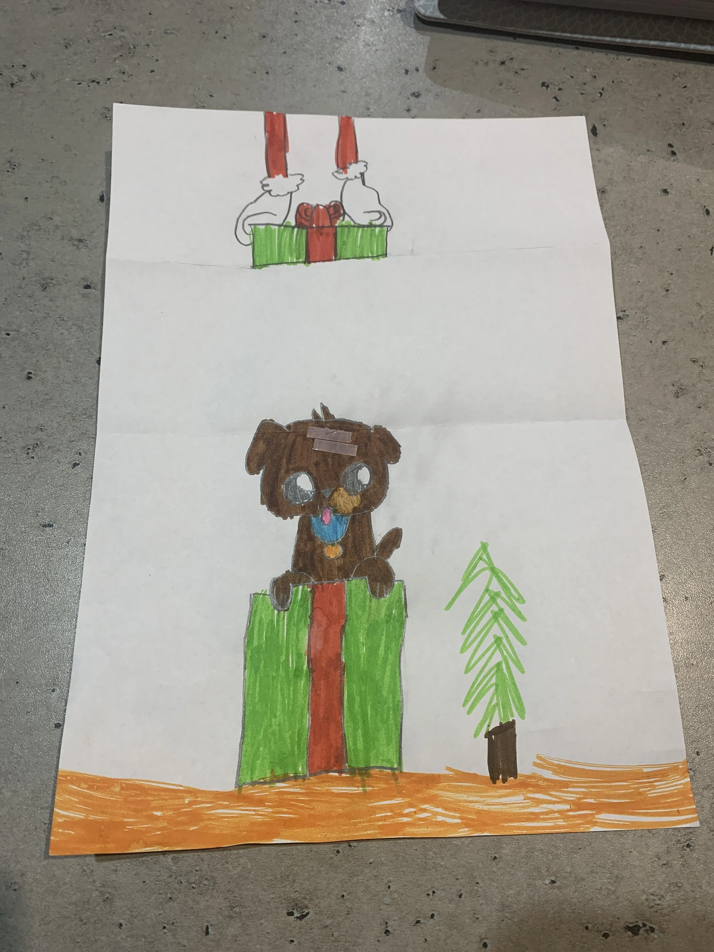 2. jacob dog 8 years old.jpg