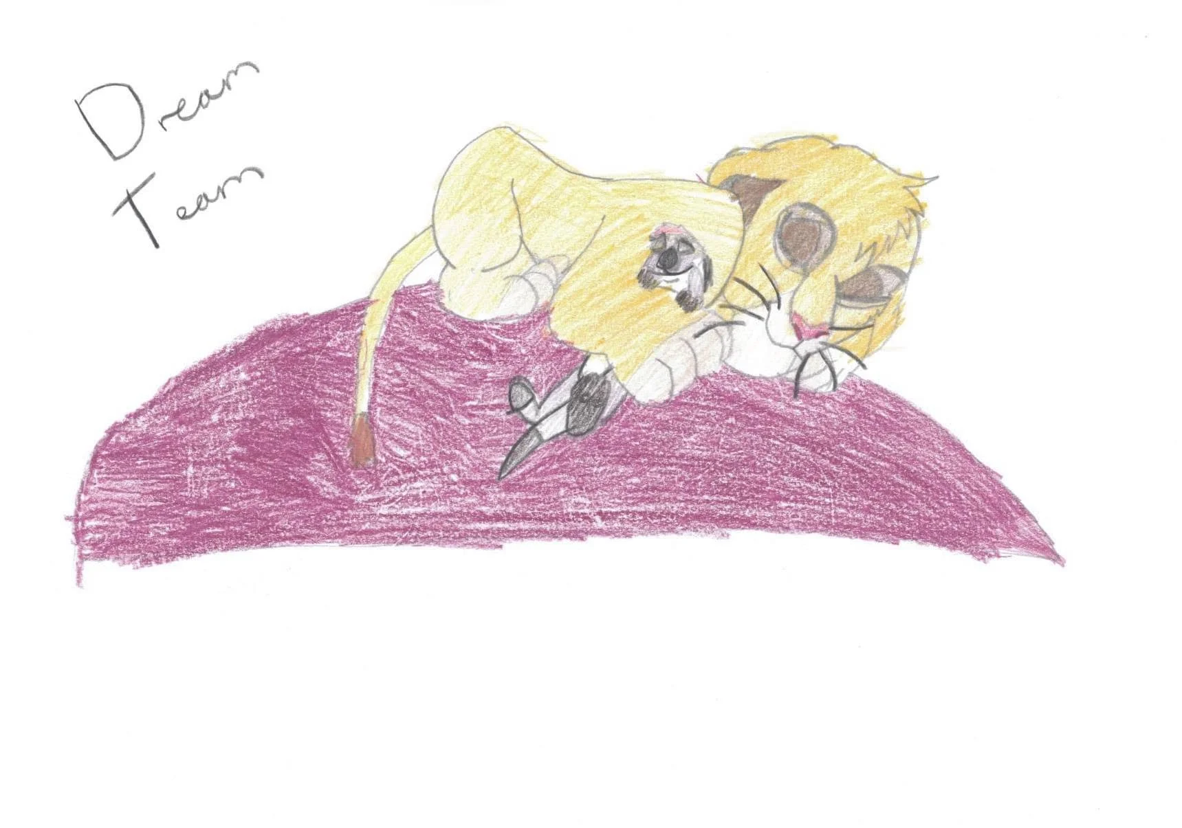Dream team by Caitlin aged 10.jpg