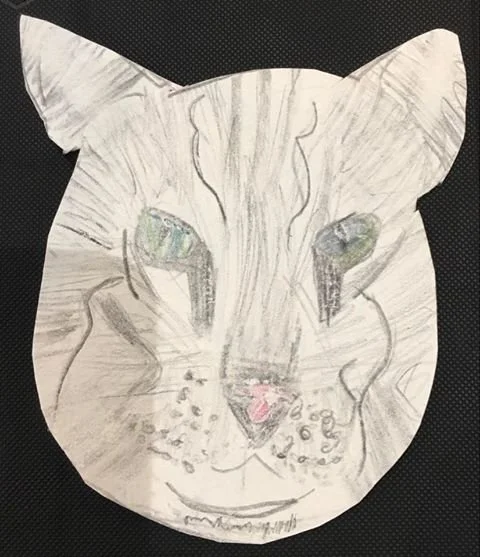 cat by Abbie McPhail aged 6.jpg